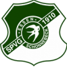 SV索尼克斯队徽