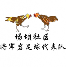场坝村将军岩队徽